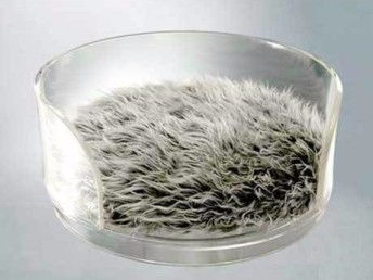 有机玻璃宠物窝与宠物用品订制 深圳一站式宠物生活解决方案