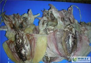 新货淡干小墨鱼 海洋鲜味的天然馈赠与选购指南